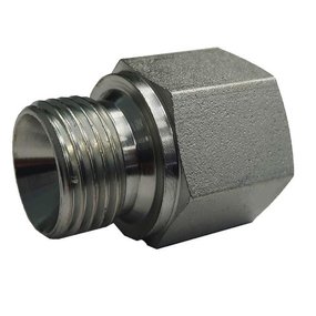 RVS Verloopadapters BSP-BSP (60º) male-female
