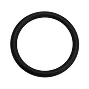 1" 1/4 O-ring voor 3000 en 6000 PSI en SAE flens