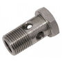 Banjo bout 1/4" BSP
