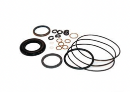 Afdichtingsset OMP/R x 11188319