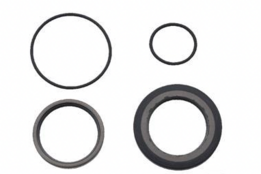 Afdichtset 151F0109 OMS Viton Serie 3