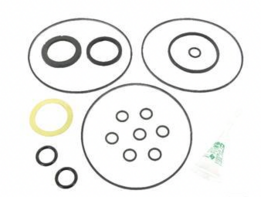 Afdichtset 60539 CHAR LYNN S-PLUS (103)