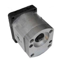 Voorpomp 19 cc tandempomp links met 1:8 conische as, pasrand 36,4 mm, groep 20+20