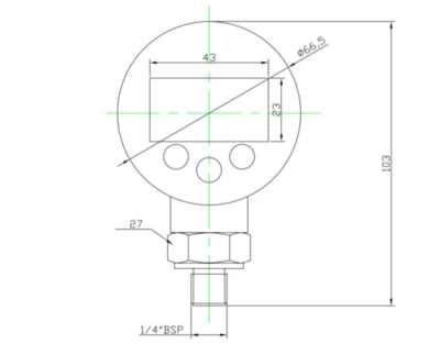 Digitale manometer 0-600 bar 1/4