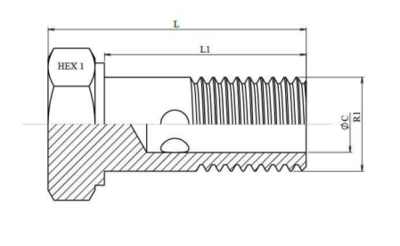 Metrische banjo bout M10x1