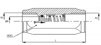 RVS terugslagklep 1/4'' BSP met openingsdruk 5 bar