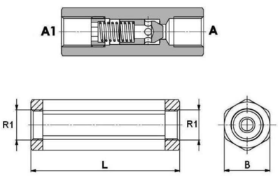 Terugslagklep 1'' BSP met openingsdruk 5 bar