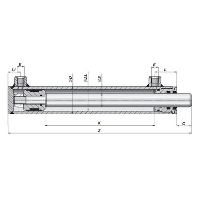 Dubbelwerkende cilinder 40x25 op maat