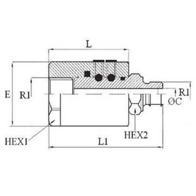 Draaikoppeling recht 2'' BSP