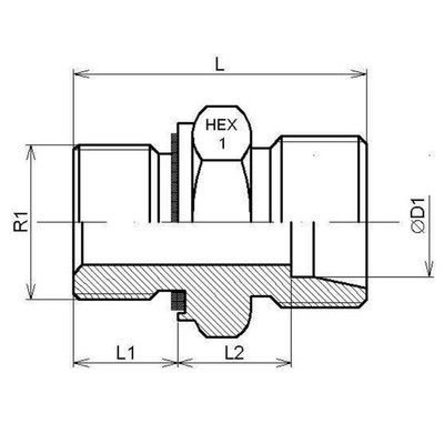 BSP 1